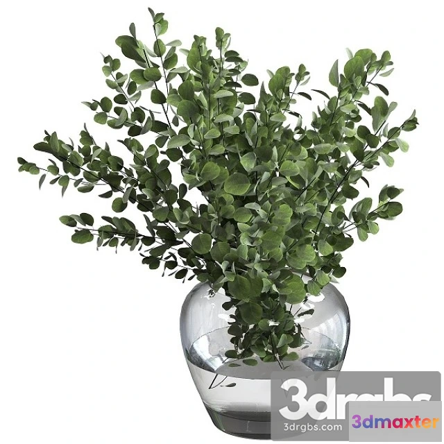 1009060 - Bouquet Green