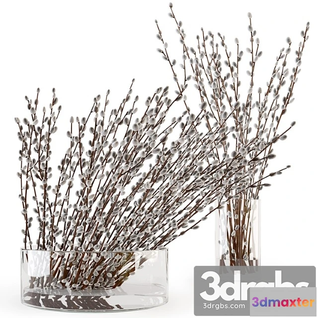 1009226 - Branches in a Vase 006