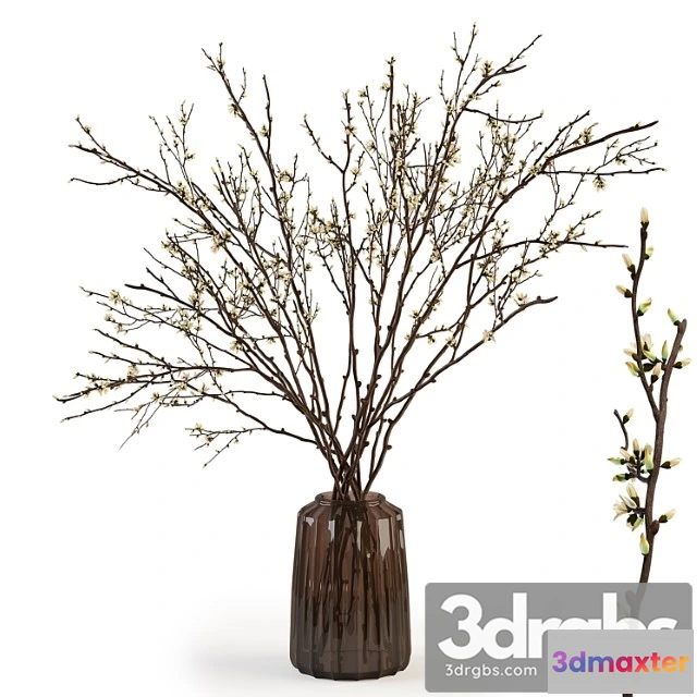 1009230 - Branches in a Vase 015