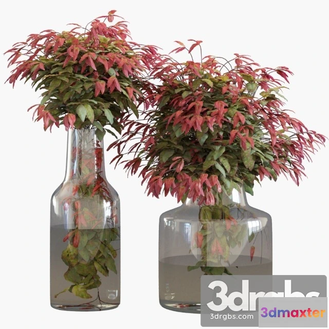 1009234 - Branches in Vases 1