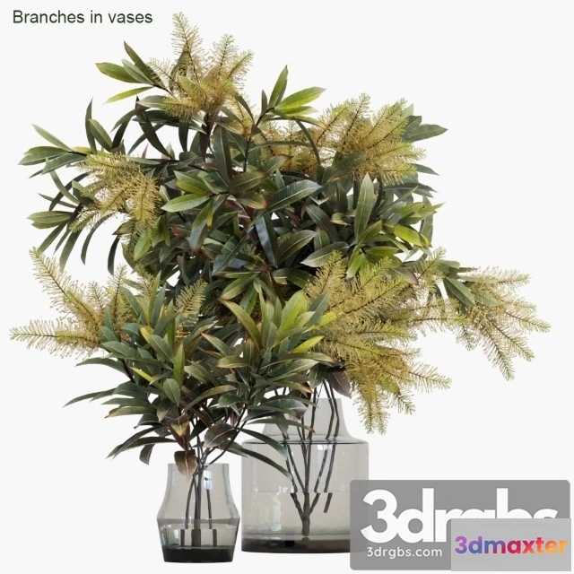 1009236 - Branches in Vases 10