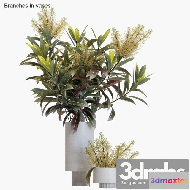 1009238 - Branches in Vases 12