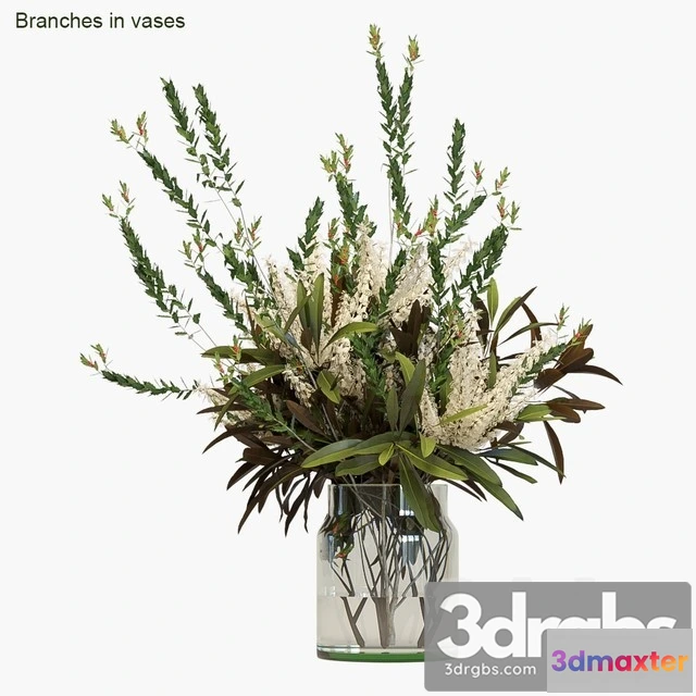 1009244 - Branches in Vases 3