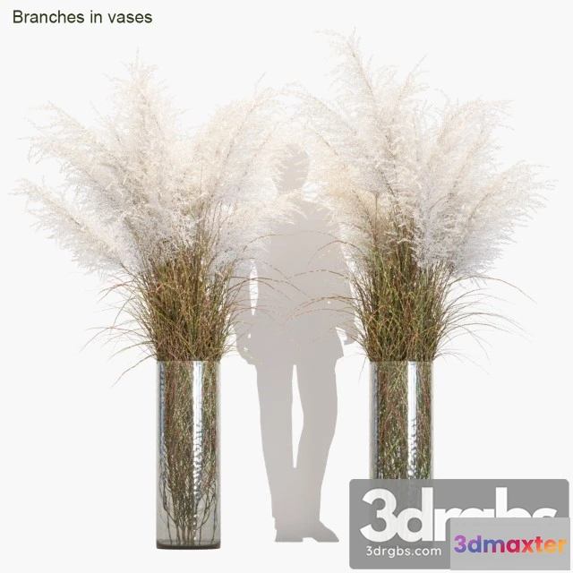 1009248 - Branches in Vases 5