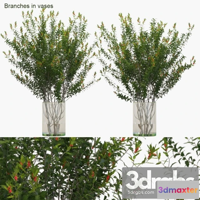 1009250 - Branches in Vases Dragon Lady