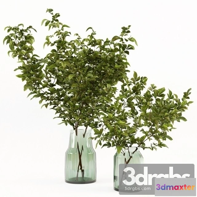 1009254 - Branches Vase 2