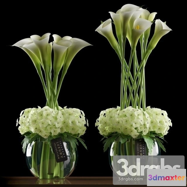 1009264 - Calla Lilly 4