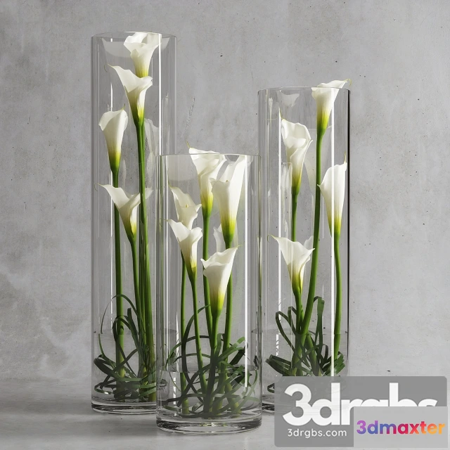 1009270 - Calla Lily In Cup