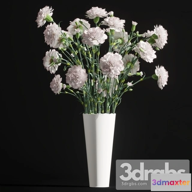 1009274 - Carnation Bouquet