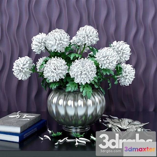 1009286 - Chrysanthemum Balls 1