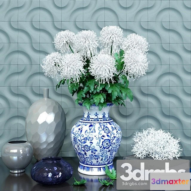 1009288 - Chrysanthemum Curly