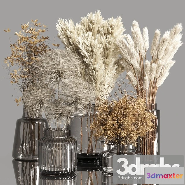 1009308 - Collection Dry Plants Bouquet Indoor 02