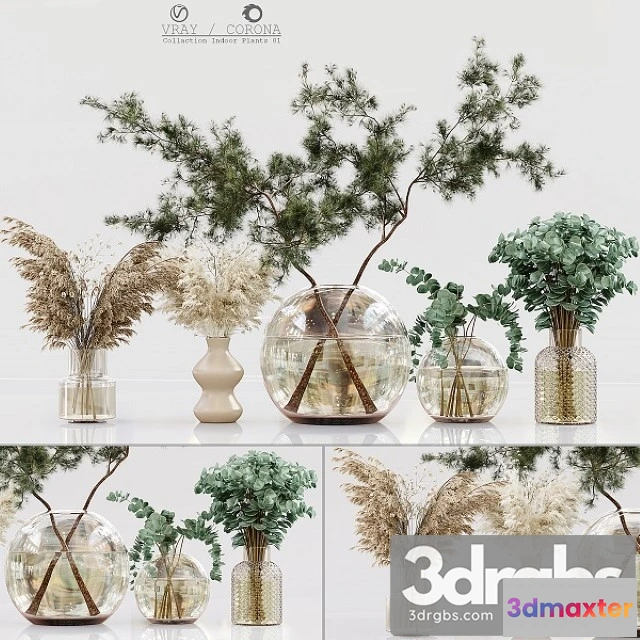 1009314 - Collection Indoor Plants 01