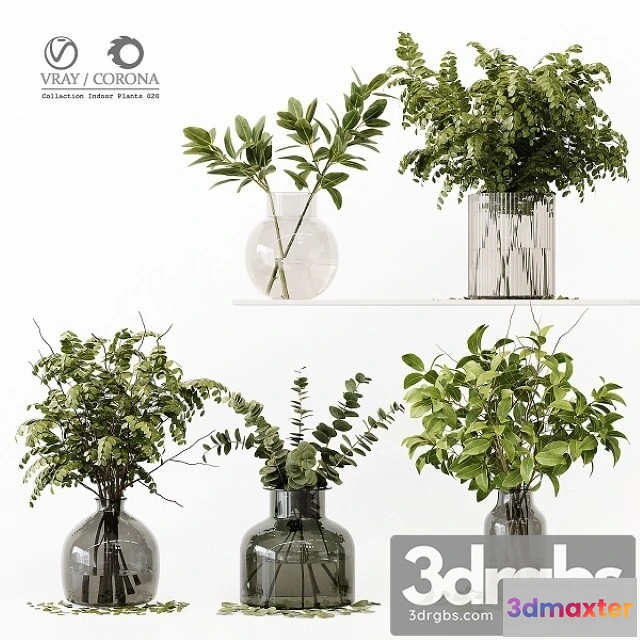 1009322 - Collection Indoor Plants 020