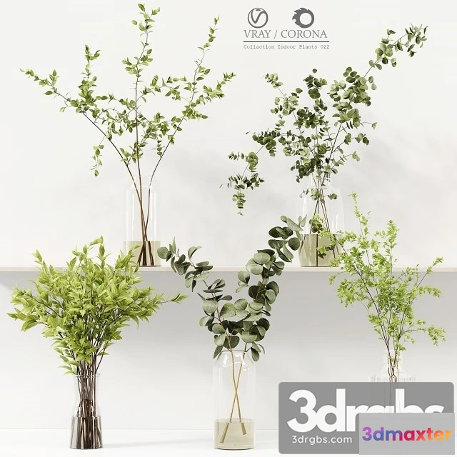 1009324 - Collection Indoor Plants 022