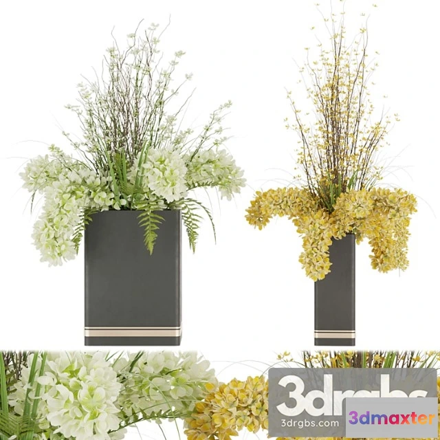 1009328 - Collection Plant Vol 56