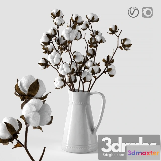 1009336 - Cotton in a Jug - No.2