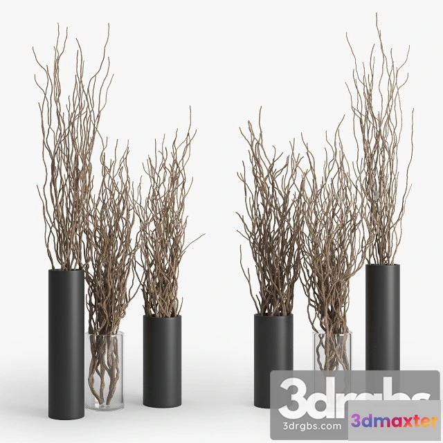 1009464 - Dry Branch