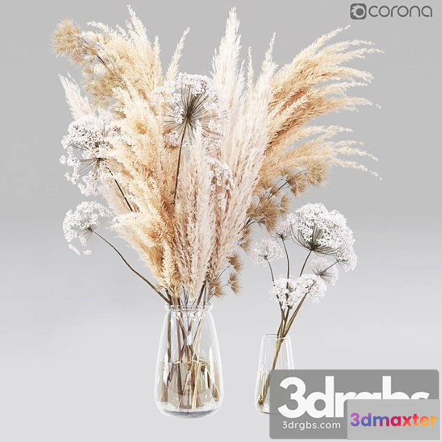 1009470 - Dry Flower 01 1