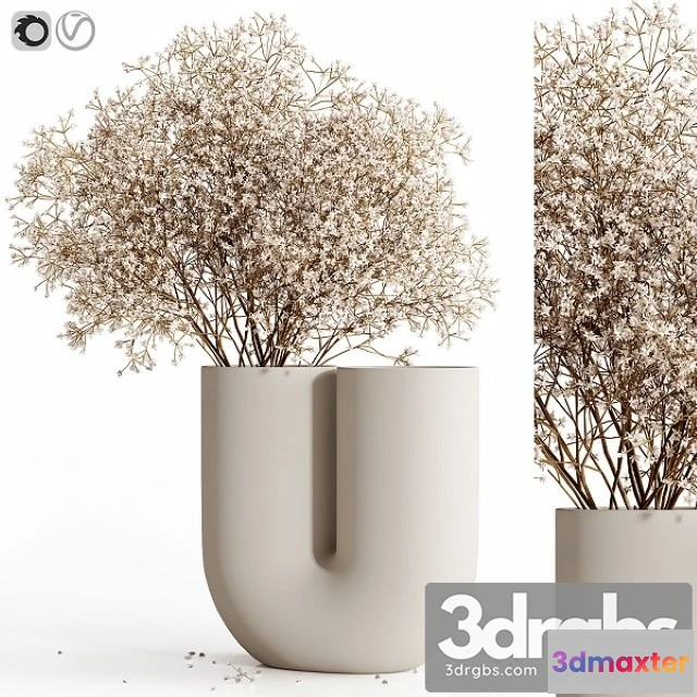 1009476 - Dry Flowers 9