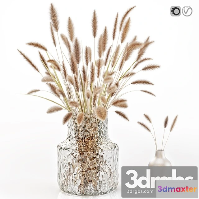 1009478 - Dry Flowers in Glass Vase 2