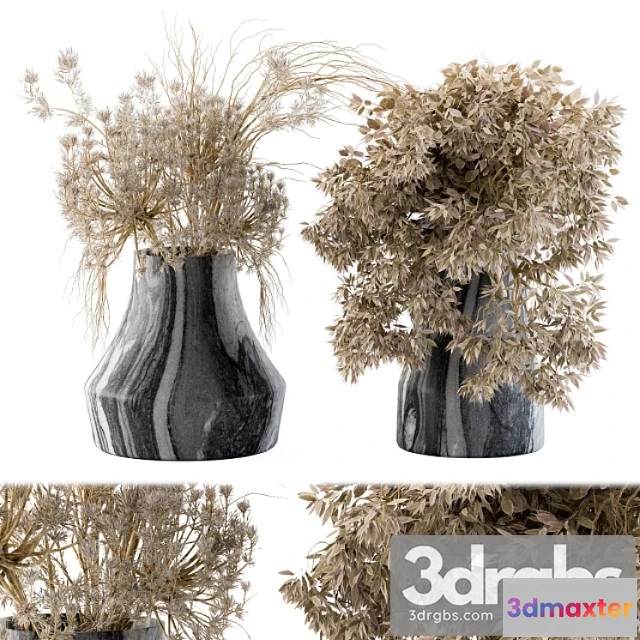 1009486 - Dry plants 14