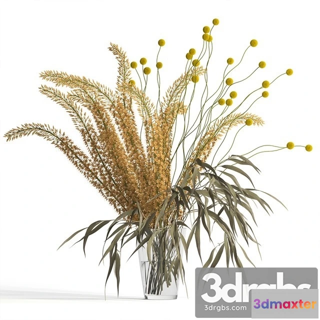 1009502 - Eremurus Eucalyptus Craspedia Bouquet