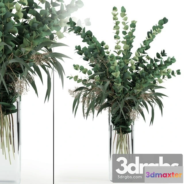 1009512 - Eucalyptus in Tall Vase