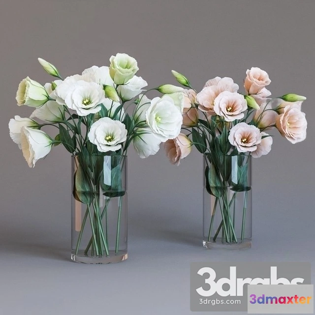 1009518 - Eustoma Bouquet