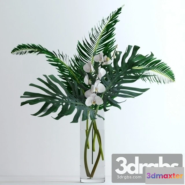 1009520 - Exotic bouquet