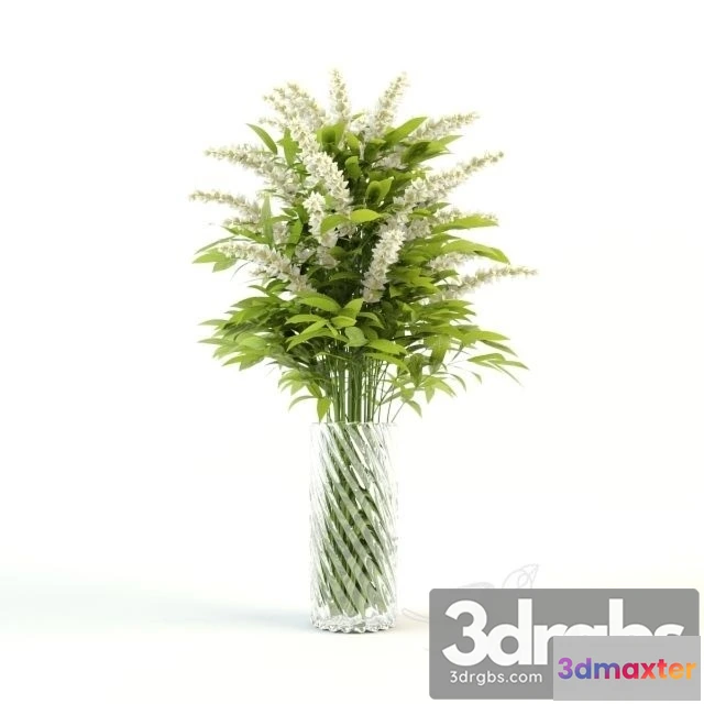 1009548 - Flower In A Vase