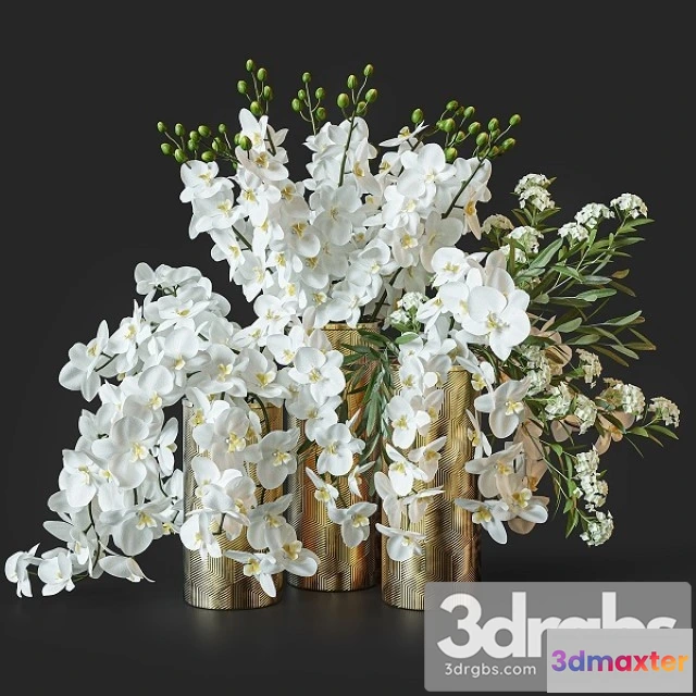 1009572 - Flower Set 033 Orchids