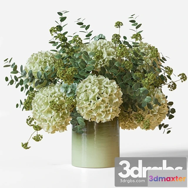 1009578 - Flower Set 051 Green Hydrangea