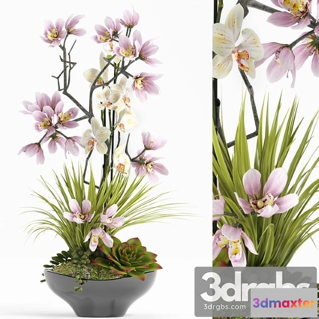 1009584 - Flower Set 21