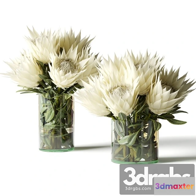 1009588 - Flower Set white Proteas