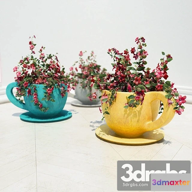 1009614 - Flowers In Pots Cups Cup Flower Pot 1