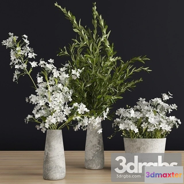 1009622 - Flowers Vase Set 3