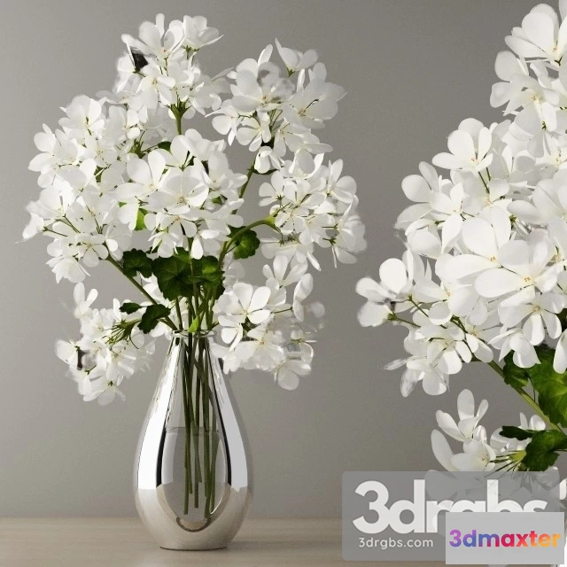 1009628 - Geranium Bouquet