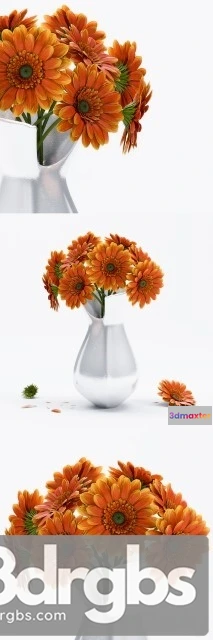 1009634 - Gerbera Flower 1