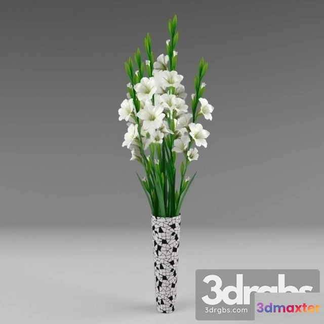 1009642 - Gladiolus Bouquet