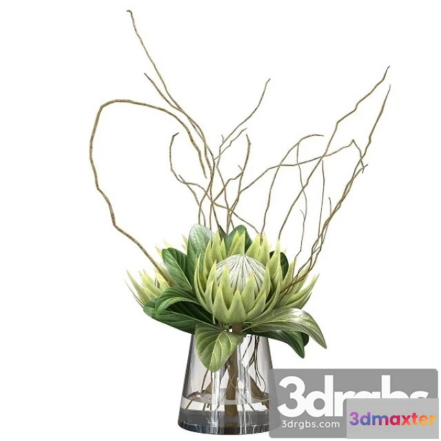 1009650 - Green Bouquet With Protea