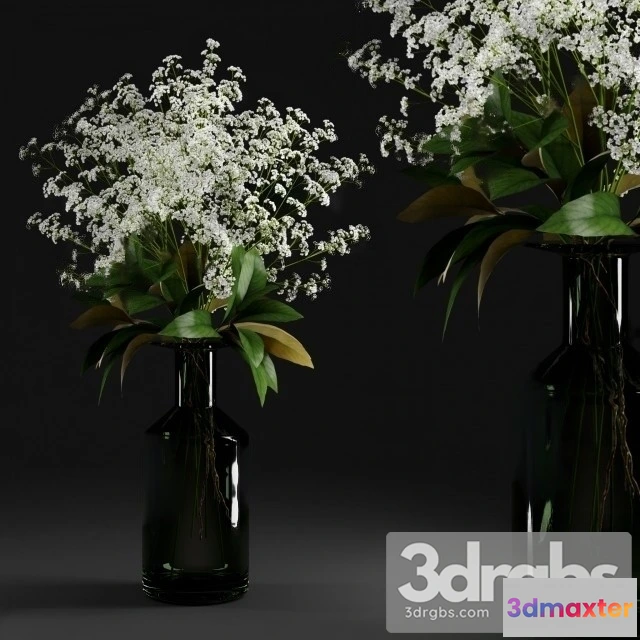 1009652 - Gypsophila Magnolia Leaves Bottle