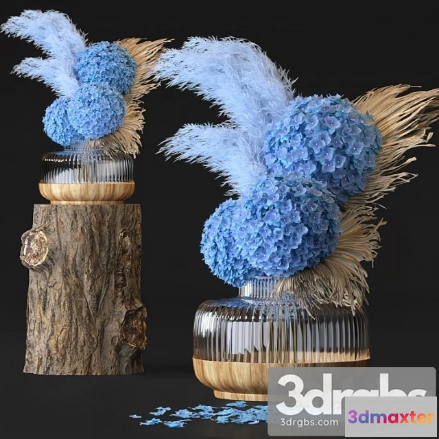 1009664 - Hydrangea Flower Set 06