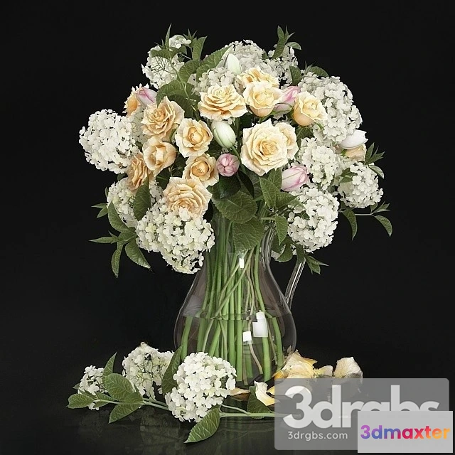 1009666 - Hydrangea flowers