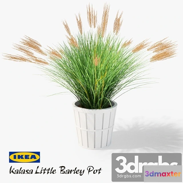 1009674 - Ikea Kalasa Plant Pot And Little Barley