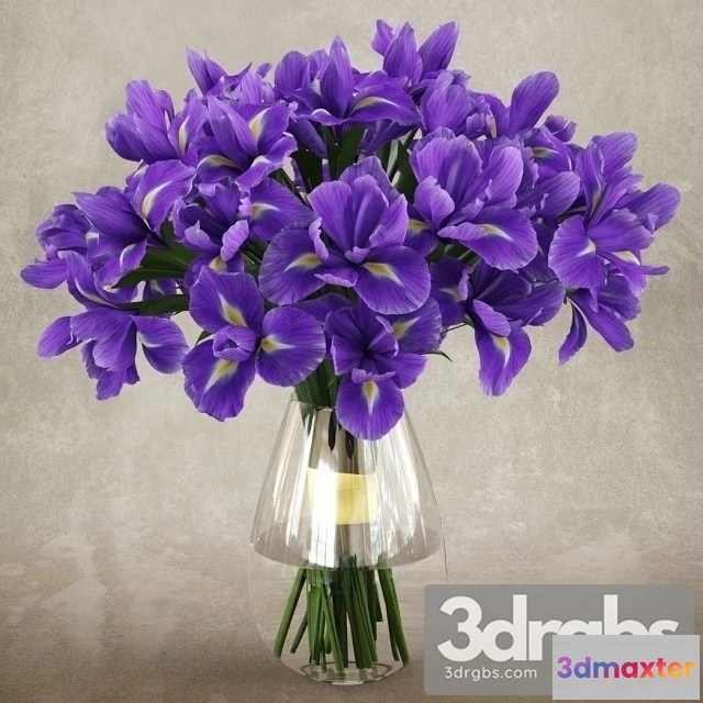 1009682 - Iris Bouquet