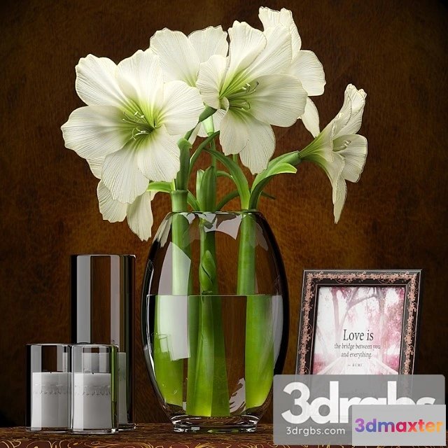 1009706 - Light Yellow Amaryllis