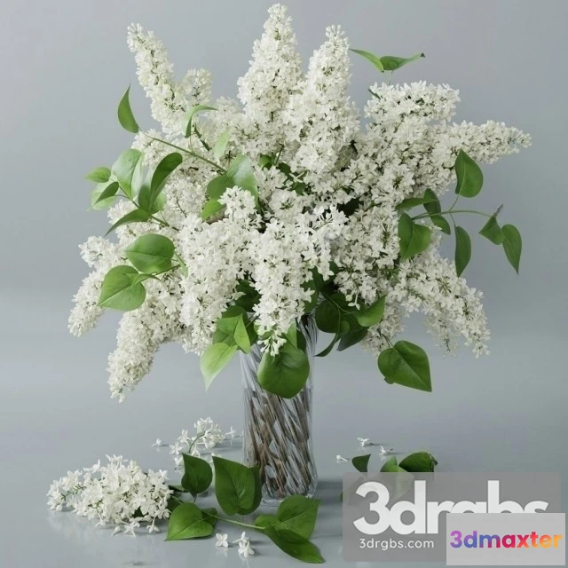 1009720 - Lilac Vaset Bouquet 1