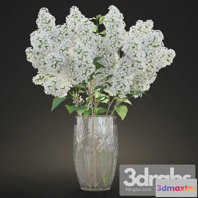 1009724 - Lilac White Bouquet