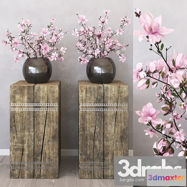 1009732 - Magnolia 8